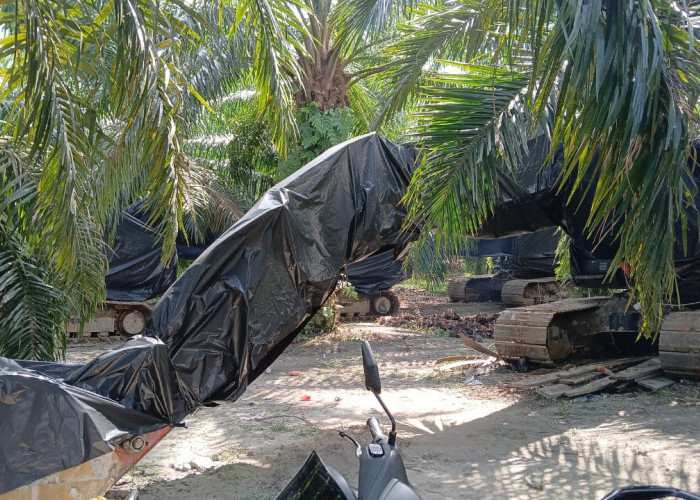 Diungkap Satgas PKH, 9 Ekskavator Penambang Ilegal Disembunyikan di Lubuk