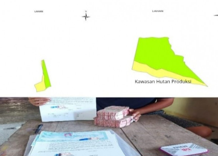 Diduga Puluhan Hektar Hutan Produksi Pergam Dijual Oknum Setempat