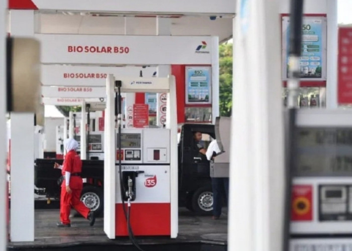 Dua Tahun Pemerintahan Prabowo dalam Mewujudkan Kemandirian Energi