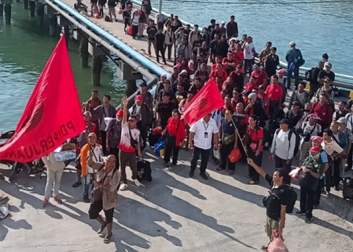  Solidaritas 1500 Kader PDIP Babel Semarakkan Bulan Bung Karno di Stadion GBK Jakarta