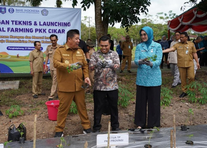 Sinergi Bank Indonesia dan PKK Cikar Mendorong Good Agricultural Practices 