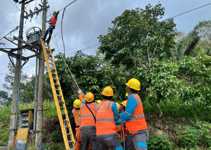 Pemulihan Listrik Sumatra Utara Dikebut, Menteri ESDM Tinjau Langsung Lokasi Terdampak Bencana