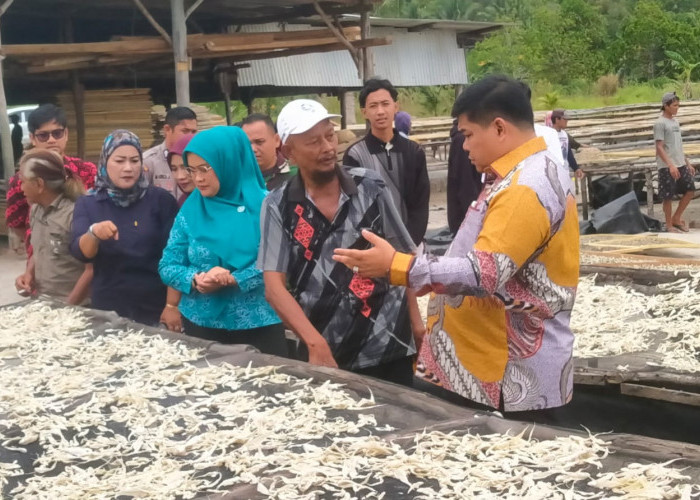 Sehari Produksi 1 Ton, UMKM Sentra Ikan Asin Rebo Tampung Belasan Pekerja