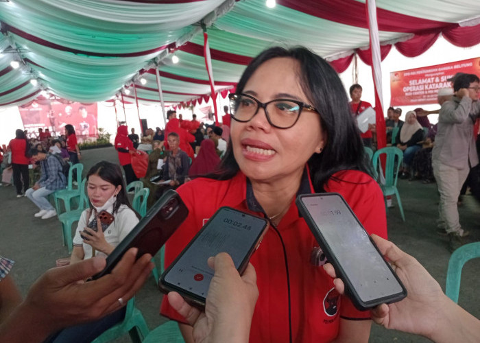 ​Anggota DPRD Babel Elvi Diana Minta BPS Libatkan Perangkat Desa dan Lurah dalam Pendataan
