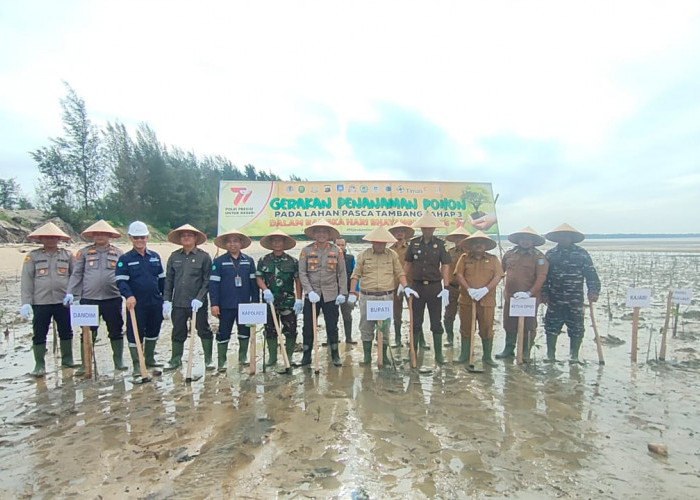 Meriahkan HUT 77 Bhayangkara, Forkopimda Babar Tanam Ribuan Mangrove di Lahan Eks Tambang