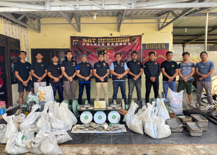 Polisi Amankan 1,2 Ton Timah dari Lokasi Peleburan Ilegal di Kebun Sawit Bangka