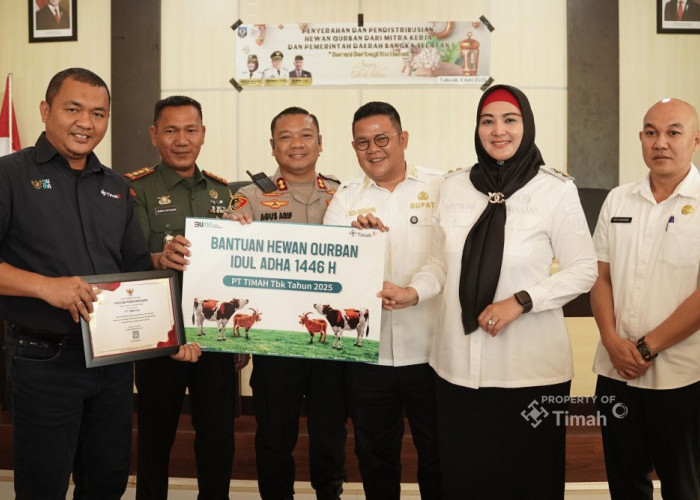 Idul Adha Penuh Berkah, PT Timah Salurkan Kurban Bagi Masyarakat di Bangka Selatan 