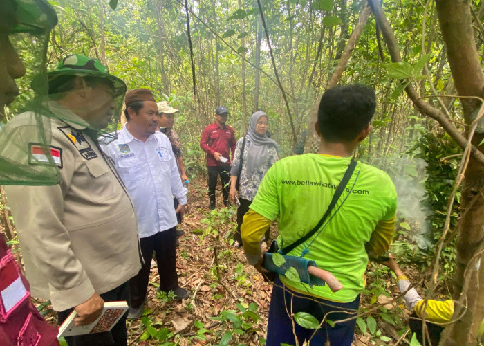 Tim Ahli Indikasi Geografis Lakukan Pemeriksaan Substantif Madu Pelawan Namang Bangka Tengah