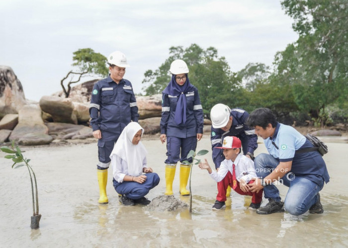 Edukasi Pelajar Soal Lingkungan, PT Timah Tbk Tanamkan Kepedulian Lewat Program Mangrove