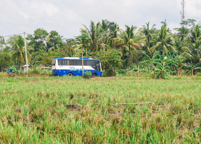 Mobil Sehat PT Timah Tbk Layani Warga di Tiga Pulau, Berikan Pelayanan hingga Pelosok
