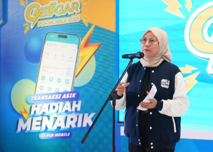 PLN Luncurkan Program Loyalti Gelegar PLN Mobile 2025, Hadiah Menarik untuk Pelanggan Setia