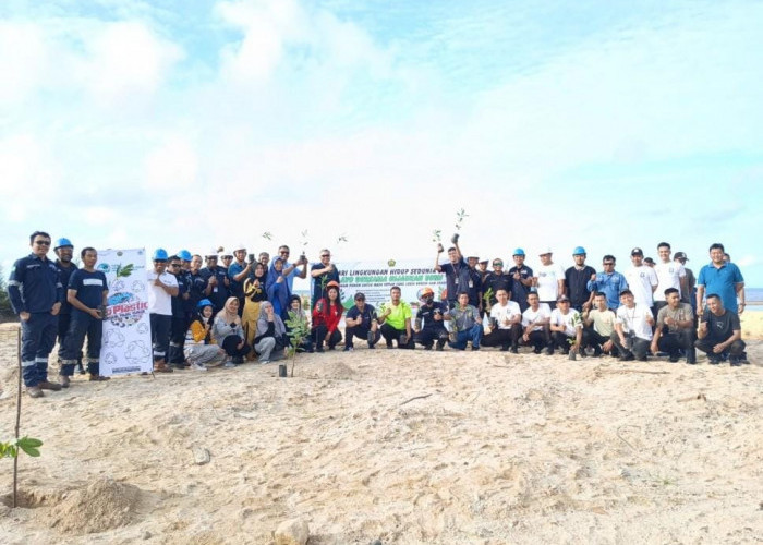 Hijaukan Kawasan Bekas Tambang, PT Timah Tanam ratusan Pohon di Kabupaten Bangka Barat