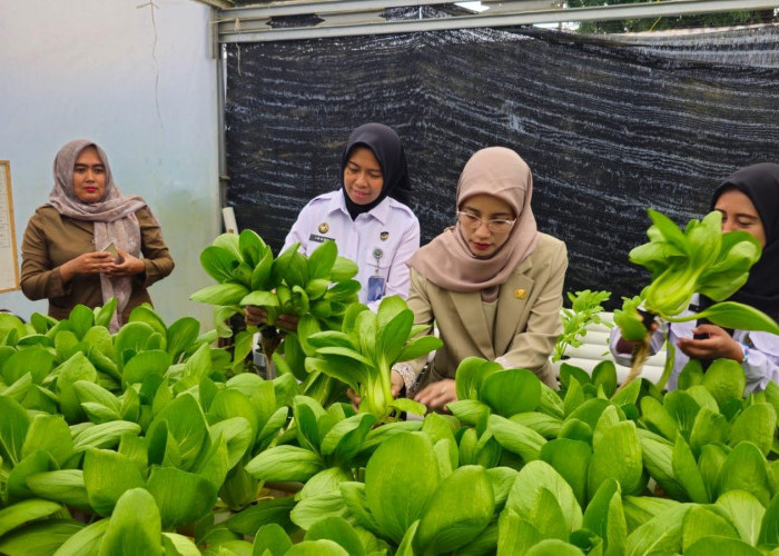 Ketahanan Pangan Lapas Pangkalpinang Tuai Apresiasi Direktur RSUD Depati Hamzah Pangkalpinang