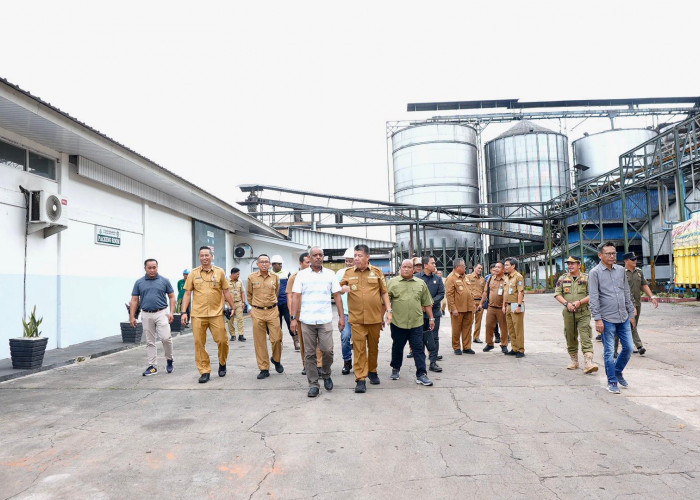 Pastikan Distribusi dan Harga Stabil, Gubernur Hidayat Arsani Tinjau Produksi Minyak Sawit di Belitung Timur