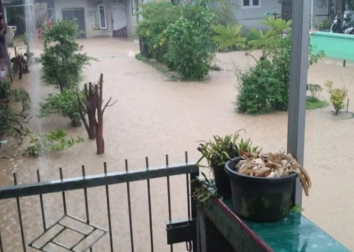 BPBD Babel Imbau Masyarakat Waspada Serangan Buaya di Daerah Banjir