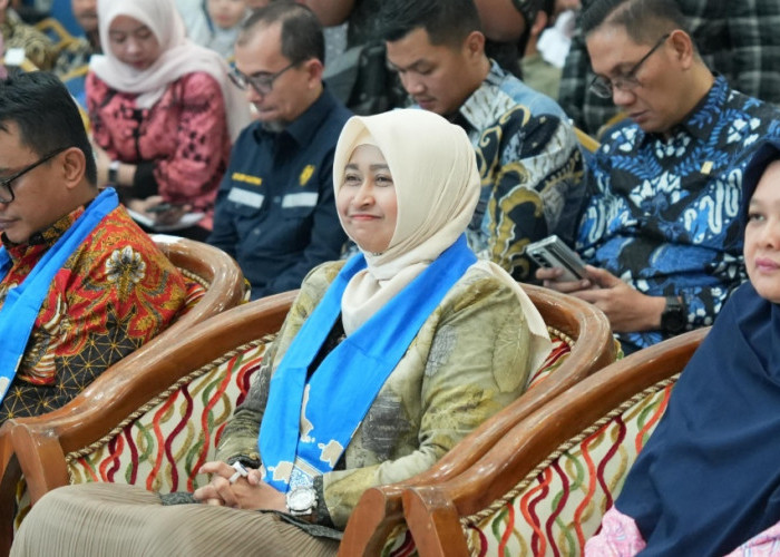 Komisi XII DPR RI Bahas RUU Ketenagalistrikan di Bangka Belitung, PLN Pastikan Kapasitas Daya Mencukupi