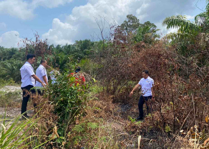 Aksi Cabulnya Diketahui Teman Korban, Predator Anak di Mendo Barat Sembunyi di Kebun
