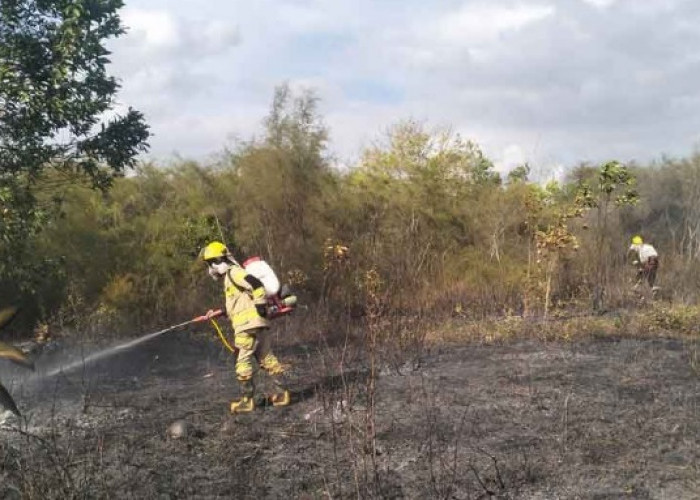Karhutla Januari 2026 di Beltim Meluas, 23 Hektare Lahan Terbakar di Sejumlah Desa