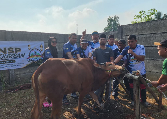 Tahun ini KNSP feat Seperadik Kurban 2 Ekor Sapi  