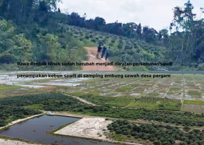 Konflik Agraria di Pergam Sarat Kepentingan, Pembeli Lahan Diduga Ada 10 Pengusaha