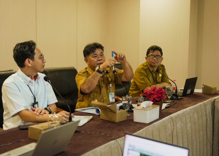 Pemprov Matangkan Realisasi Interkoneksi Kelistrikan Sumatera-Bangka Tahap II, Target Operasi 2028