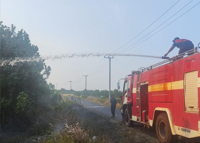 Antisipasi Kebakaran Hutan, Damkar Bangka Siagakan Personel dan Perkuat Peran Redkar hingga Srikandi Damkar