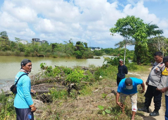 Buaya Ke Darat Gigit Warga Sekar Biru