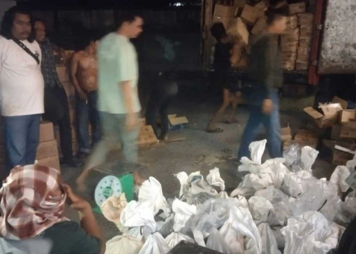 Modus Baru Penyelundupan Timah dari Belitung Terungkap, Disamarkan dalam Kardus Minyakita
