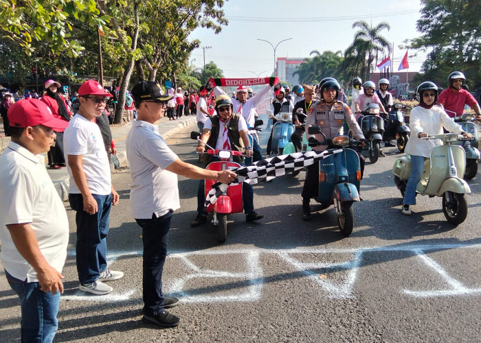 Wabup Syahbudin Lepas Pawai Karnaval HUT RI ke-81, Diikuti 102 Kelompok & 10 Drumband   