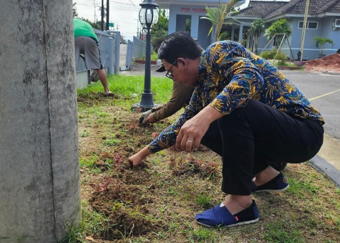 Miliki Banyak Khasiat, Lapas Pangkalpinang Budidaya Krokot Topyari Merah