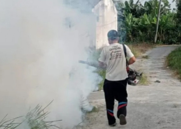 Pemerintah Bangka Gencar Tekan Penyebaran Kasus DBD