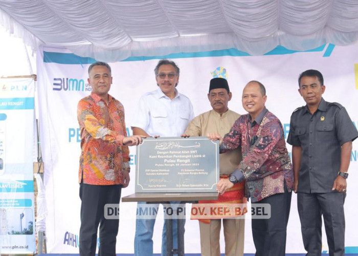 PLTD Diresmikan, Nelayan Pulau Rengit Ungkapkan Hal Ini pada Pj. Gubernur Ridwan Djamaluddin