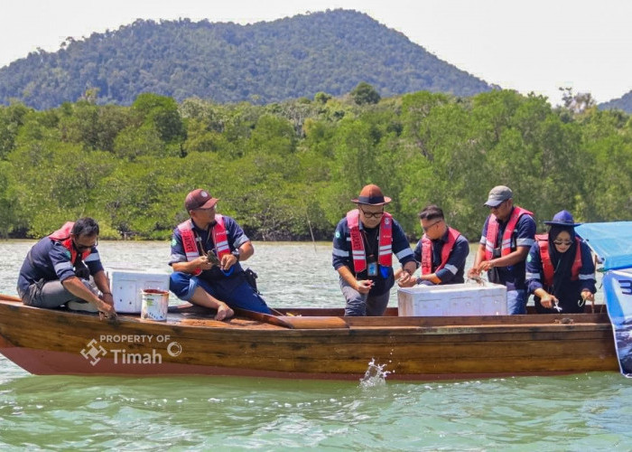 Jaga Ekosistem Pesisir dan Perekonomian lokal, PT Timah Tbk kembali Tebar 1.400 Kepiting Bakau di Kepri