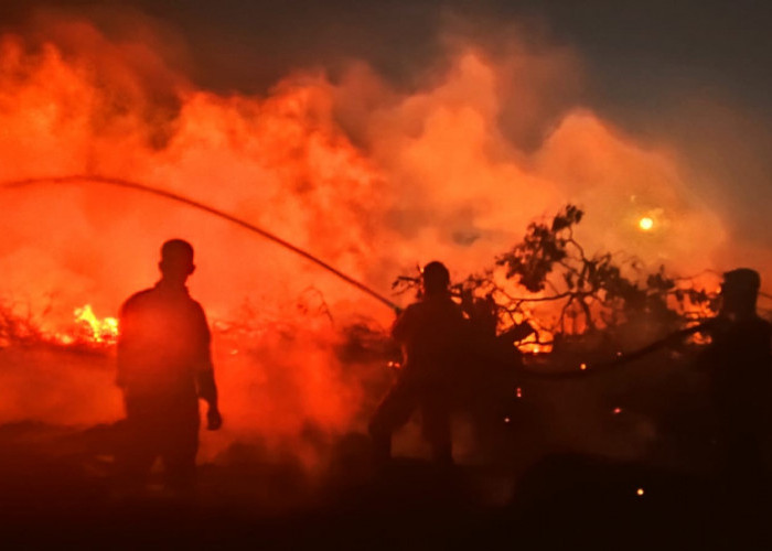 Tim Damkar PT Timah Tbk Sigap Bantu Padamkan Kebakaran Lahan di Romodong   