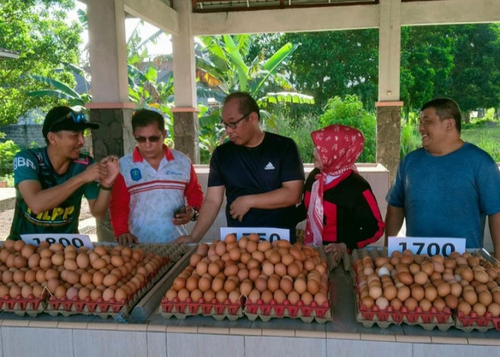 2026, Pasar Inpres akan Jadi Sentral Telur Sungailiat 