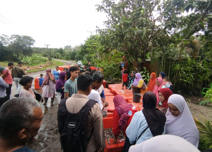 Truk Pengangkutnya Terguling, Udang 5 Ton Berhamburan di Jalan, Warga Air Belo Ketiban Rezeki