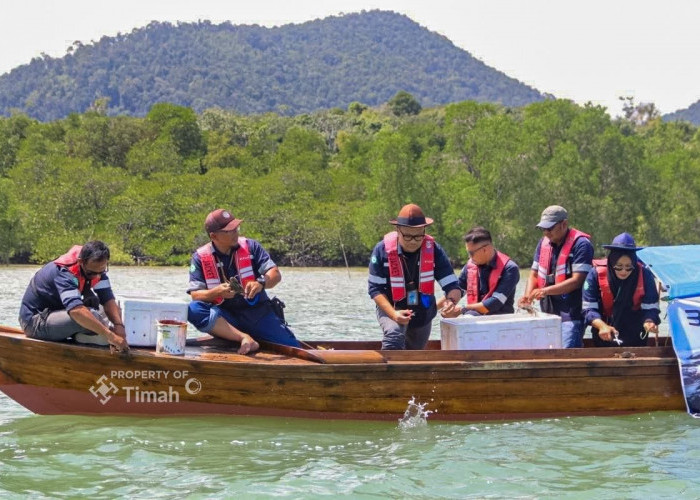 Dukung Keberlanjutan Sumber Daya Laut, PT Timah Kembali Tebar Ribuan Kepiting Bakau di Karimun