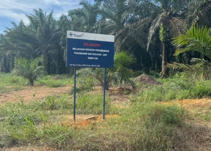 Konflik Lahan PT Timah & Warga Buluh Tumbang Belitung Kian Pelik, Praktisi Hukum Angkat Bicara