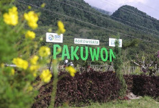 Lewat Program Desa BRILiaN, Desa Pajambon Jadi Contoh Transformasi Ekonomi Desa Berbasis Potensi Lokal