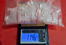 Ibu Rumah Tangga di Desa Rajik Ketahuan Simpan 67 Paket Sabu, Berakhir Begini 