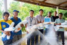 Dongkrak Hasil Tangkapan, PT Timah Salurkan Jaring Ikan ke Nelayan Desa Sawang