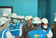 PLN Jadikan FABA untuk Pupuk, Babel Jadi Percontohan Dukung Ketahanan Pangan