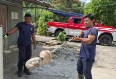 Damkar Kabupaten Bangka Tangkap Ular Bakas di Kediaman Warga Kenanga Pemali   