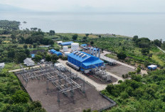 Perkuat Kemandirian Energi, PLN Deklarasikan Implementasi B50 di Maumere