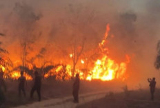 BPBD Bangka Barat Larang Warga Buka Lahan Dengan Cara Dibakar