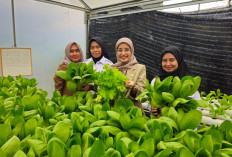 Ketahanan Pangan Lapas Pangkalpinang Tuai Apresiasi Direktur RSUD Depati Hamzah Pangkalpinang