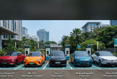 Rekomendasi 5 Mobil Listrik di Bawah Rp 250 Jutaan Terbaik di Indonesia