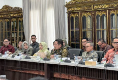 Bank Sumsel Babel Perkuat Sinergi dalam Virtual Assessment TPKAD Award 2026