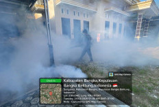 Kasus DBD di Bangka Meningkat di Maret 2026, Tercatat 53 Kasus, 1 Meninggal