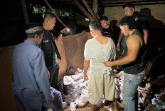 Polda Babel Gagalkan Penyelundupan 231 Keping Balok Timah Ilegal Ke Luar Bangka